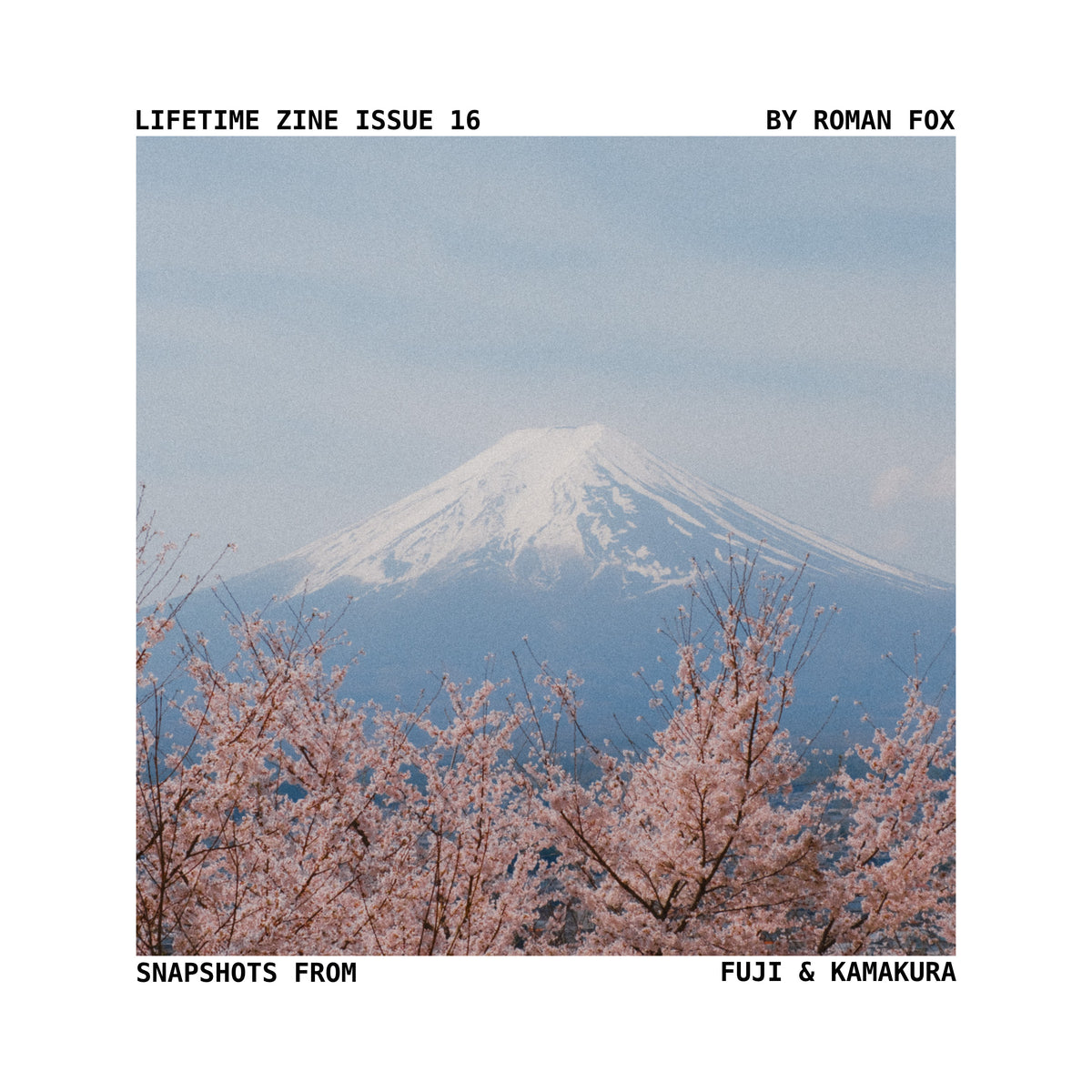 Lifetime Zine