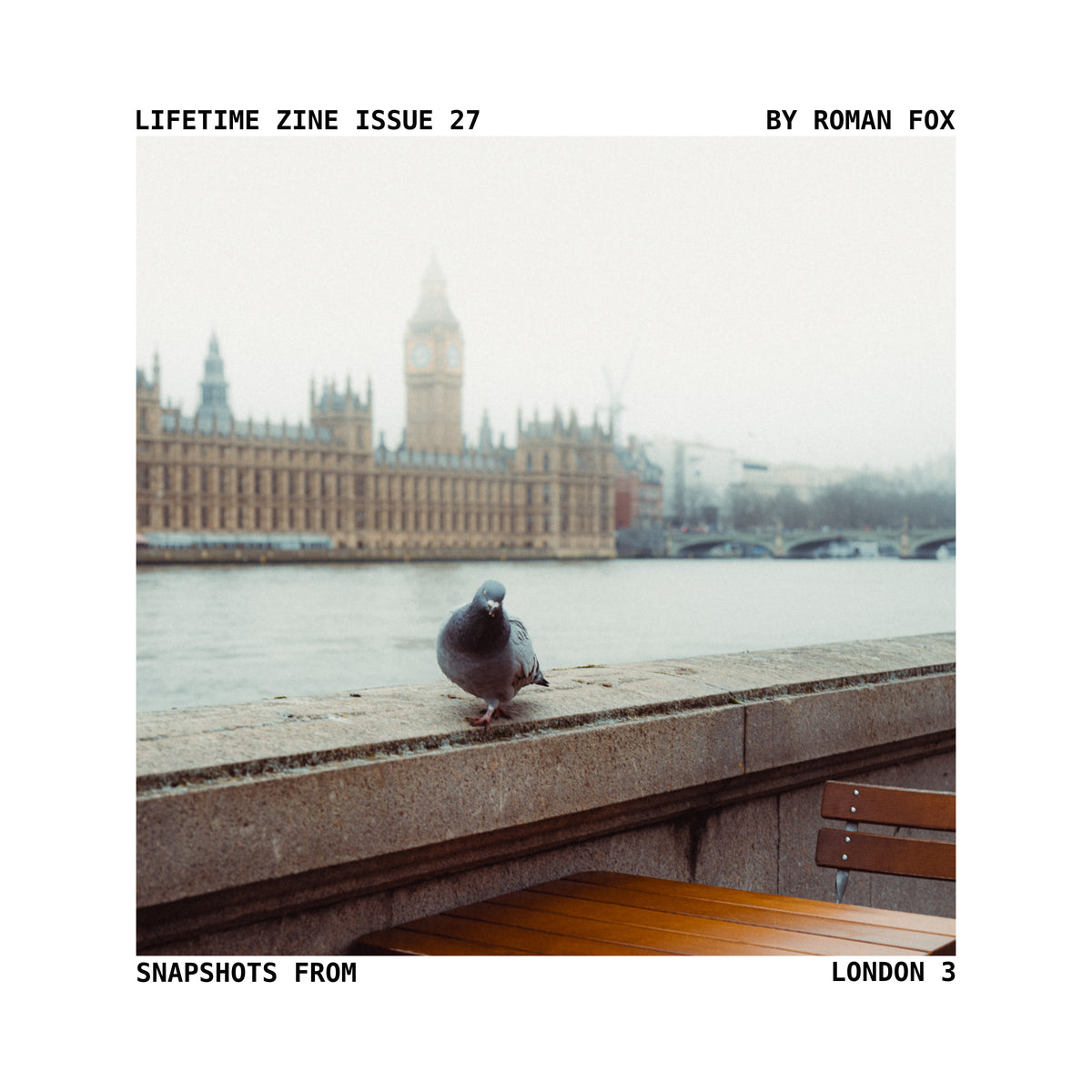Lifetime Zine