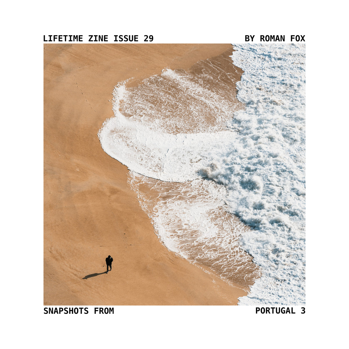 Lifetime Zine
