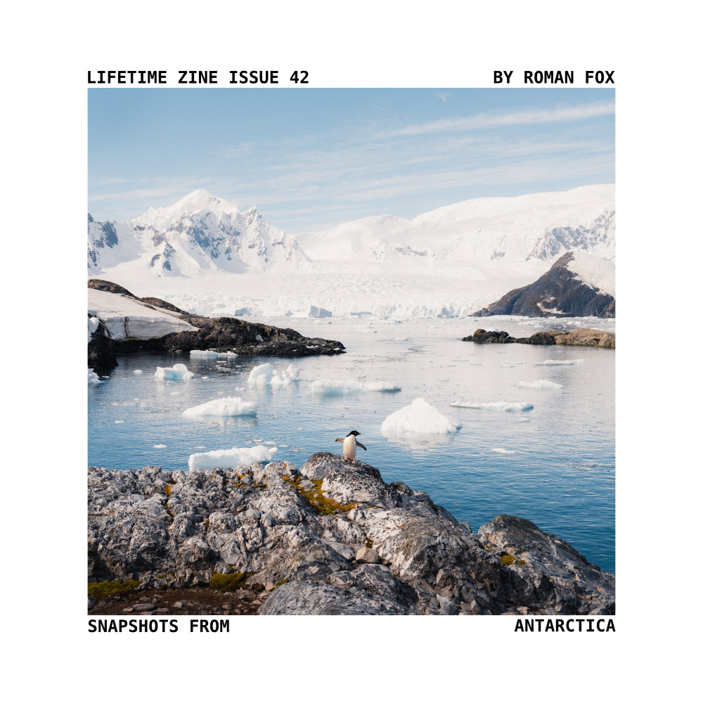Lifetime Zine