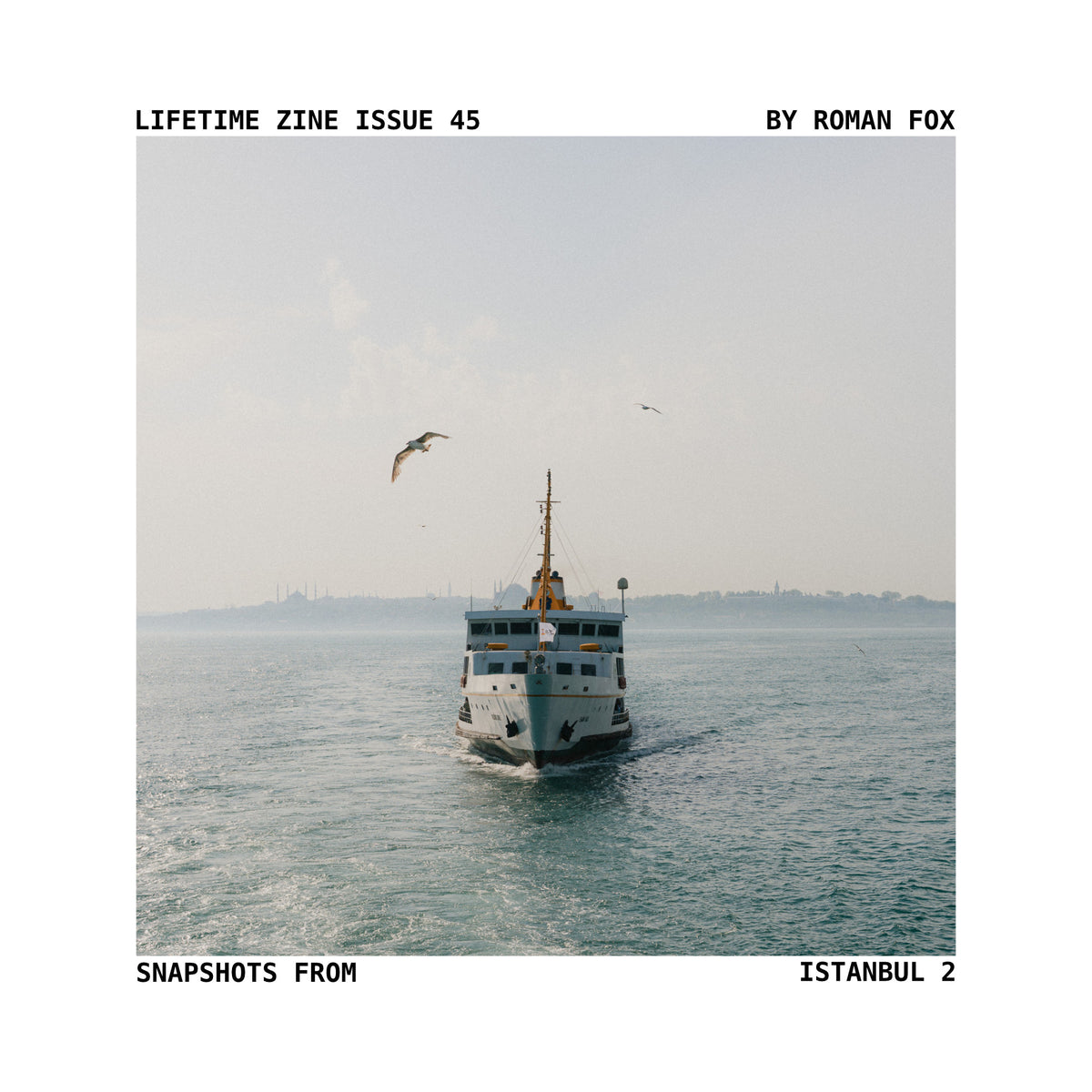 Lifetime Zine
