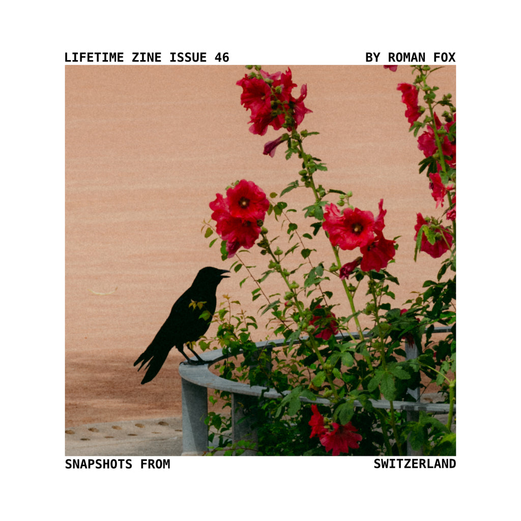 Lifetime Zine