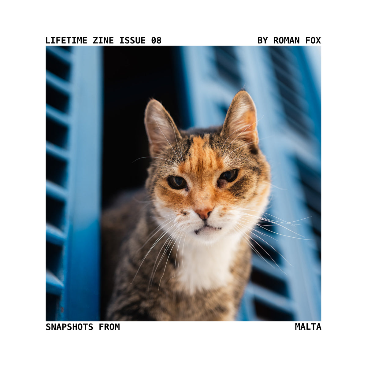 Lifetime Zine