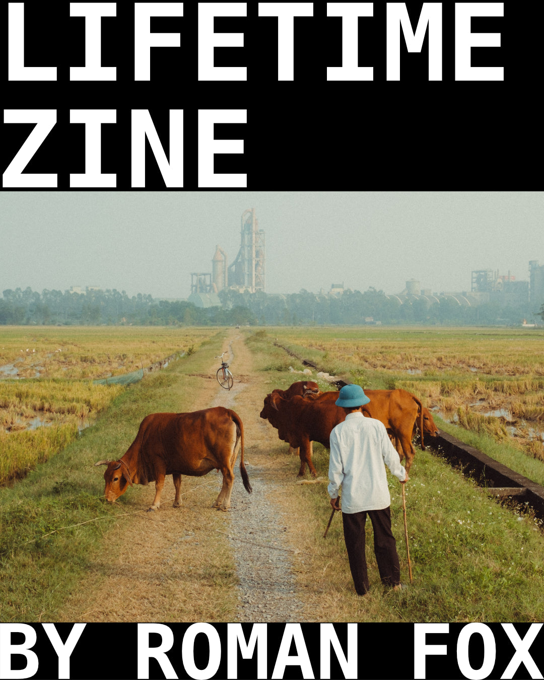 Lifetime Zine