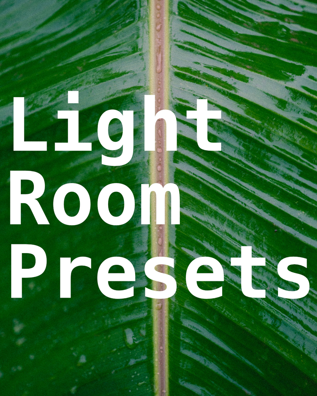 Lightroom Presets
