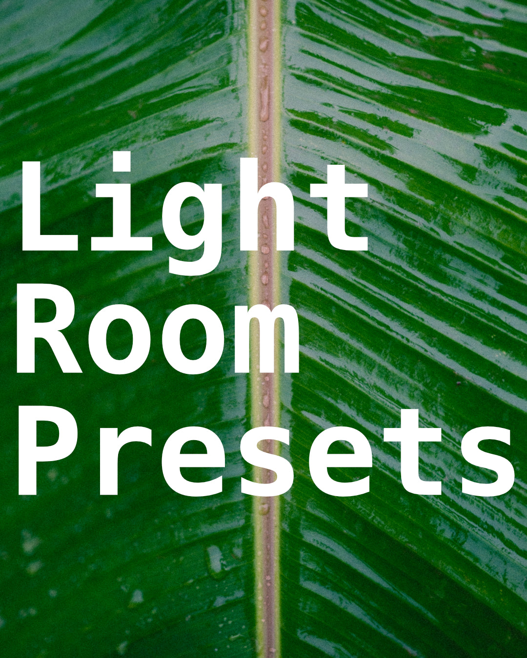 Lightroom Presets
