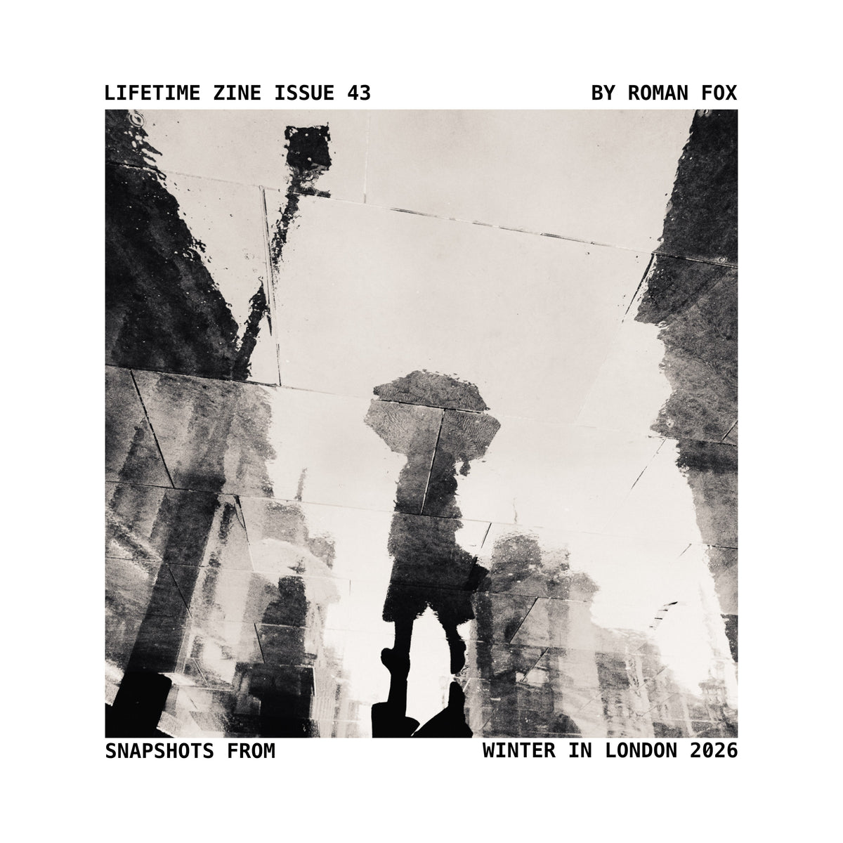Lifetime Zine